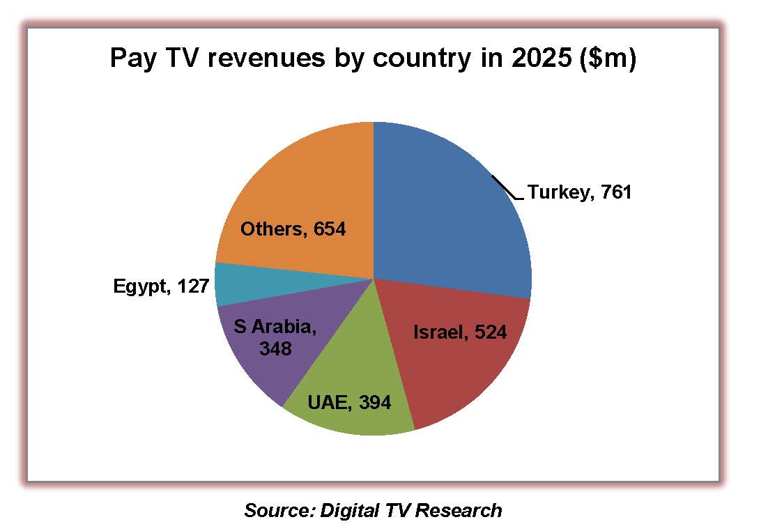  MENA-PayTV-2020.jpg