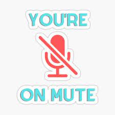  you-are-on-mute.jpeg